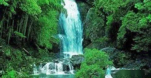 小红帽的冒险之旅