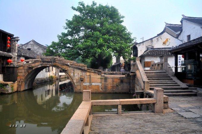 “致富风”吹在边疆草原上